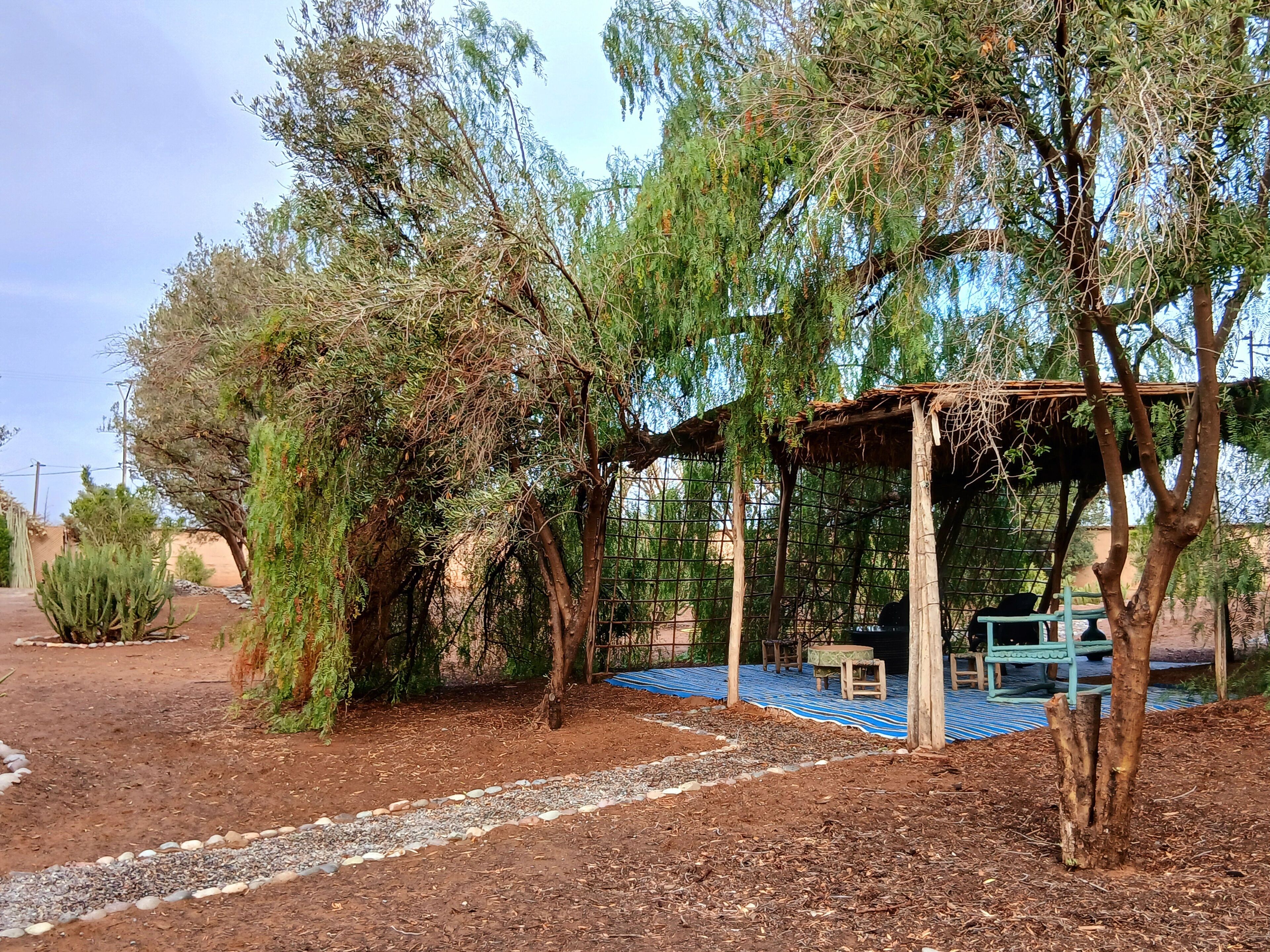 A covered outdoor seating area with tables and chairs, surrounded by trees and a gravel path.
