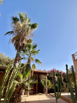 Exterior - Riad Jardin des Orangers (Sidi Borja)