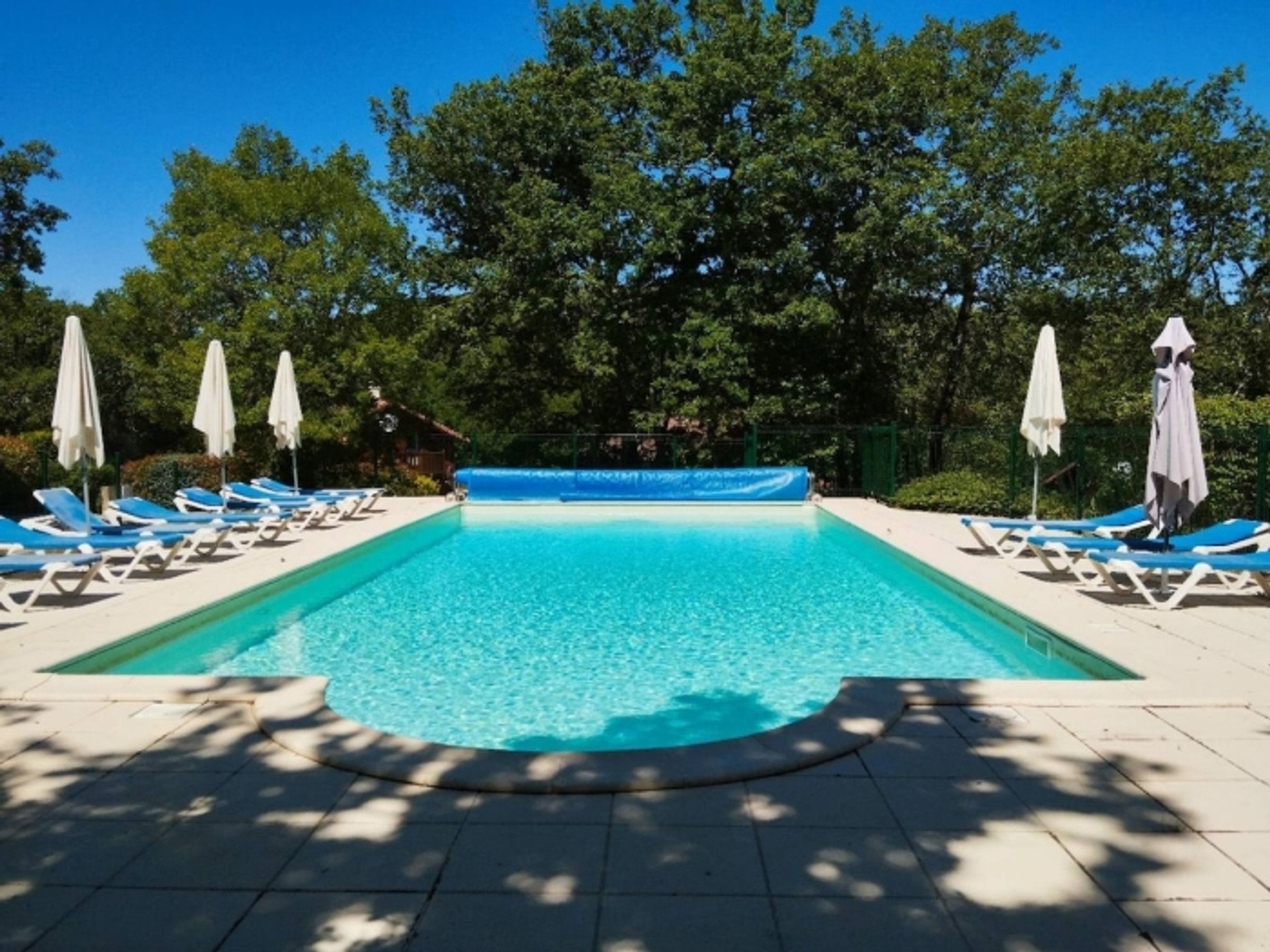 A rectangular swimming pool with clear blue water, surrounded by white lounge chairs and umbrellas, set against a backdrop of trees.