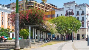 A public square with a covered seating area, a palm tree, and buildings with balconies and signage.