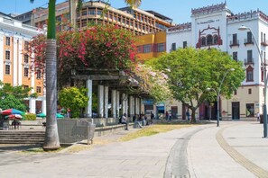 A public square with a covered seating area, a palm tree, and buildings with balconies and signage.