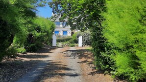 Un sendero que conduce a un edificio rodeado de abundante vegetación.
