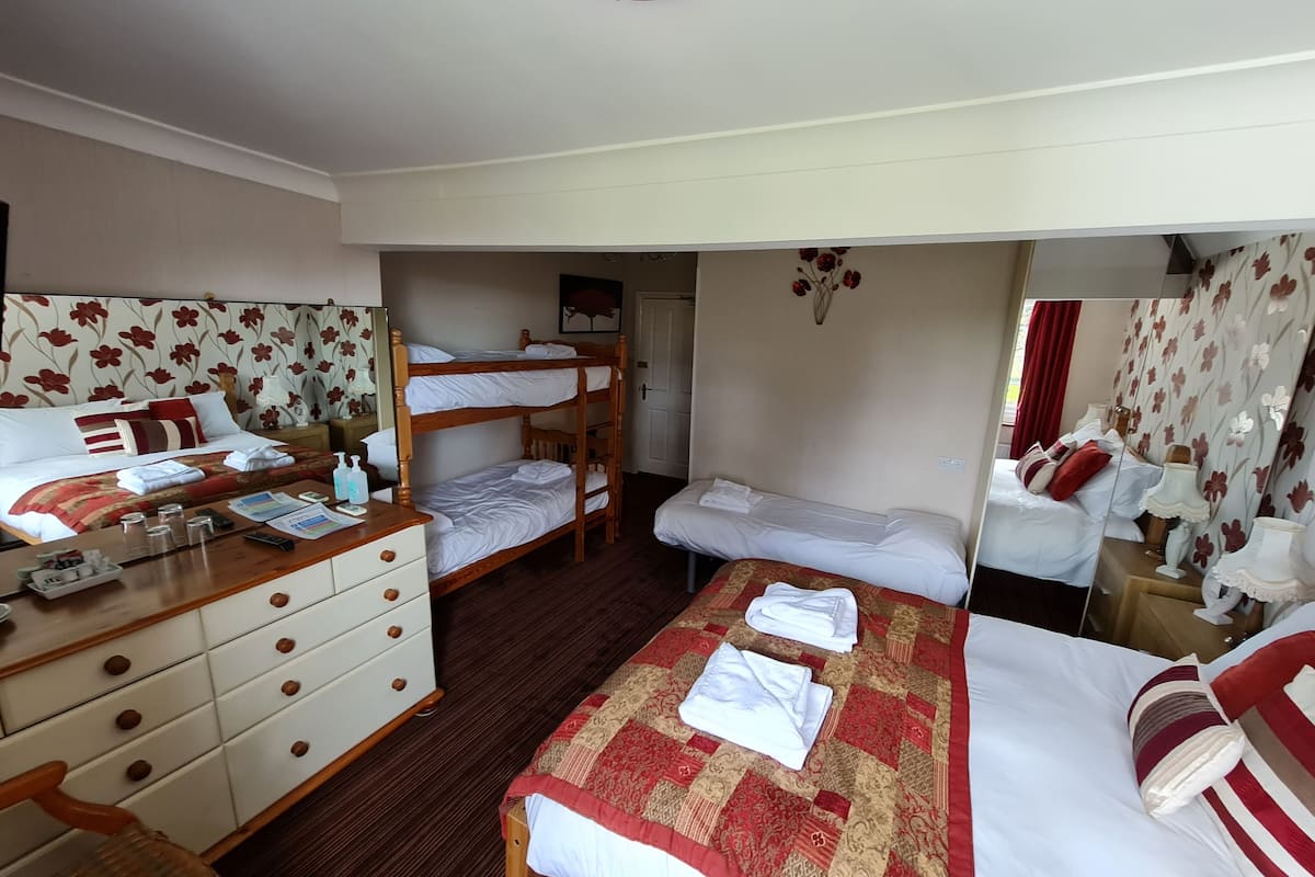 Deluxe Family of 5 Room