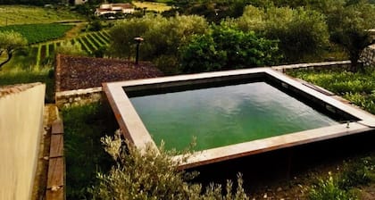 MAS DE CARACTERE SUD ARDECHE