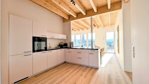 Luxury Penthouse, 3 Bedrooms, 2 Bathrooms, City View | Private kitchen | Full-size fridge, microwave, stovetop, dishwasher - ANDRISS - Stilvolle Lofts & Penthouses (Kaiserslautern)