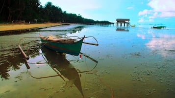 Playa privada, arena blanca, traslado desde/hacia la playa