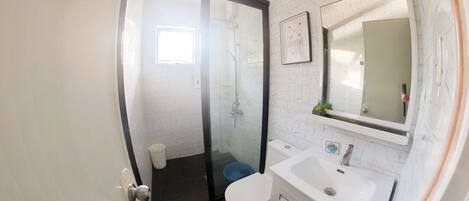 A bathroom with a glass shower enclosure, a white sink, and a toilet.