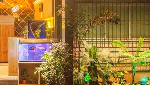 Una habitación con un acuario, una escalera y varias plantas.