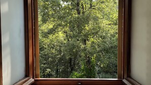 A bathroom with a large window offering a view of a dense, green forest.