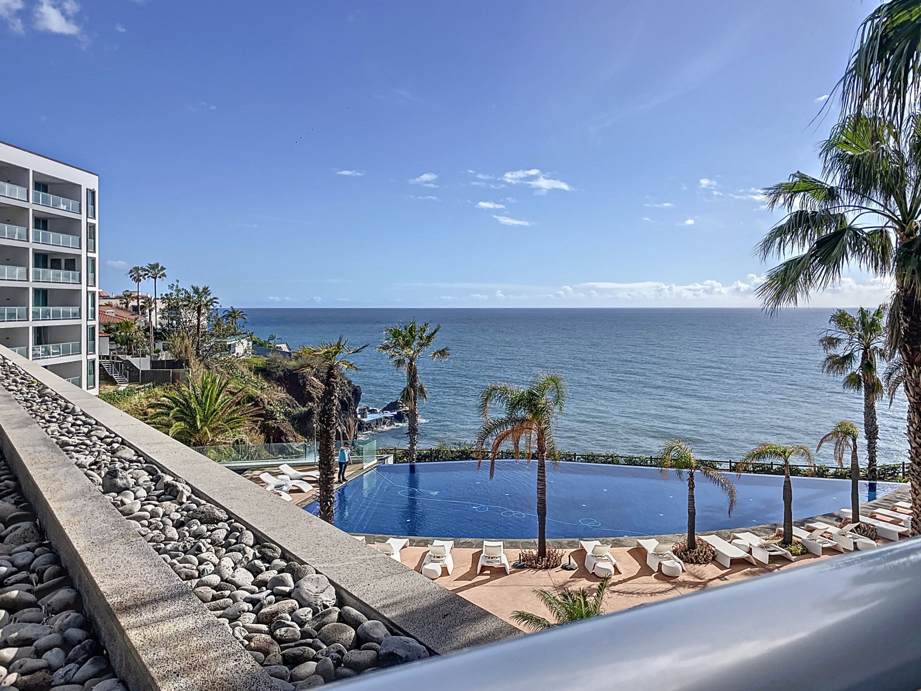 Una piscina con lettini, palme e vista sull'oceano.