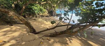 Ocean Front Estate with Pool and Private Beach