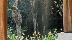 Un espace extérieur abrité, doté de piliers en bois, entouré d’arbres touffus et de plantes à fleurs.