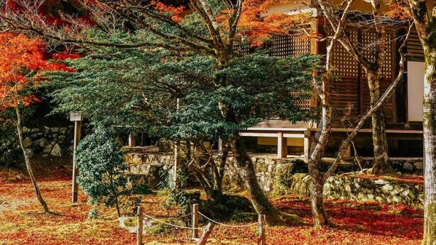 Un jardín japonés tradicional con un sendero de piedra, una valla de madera y un edificio con tejado de baldosas.