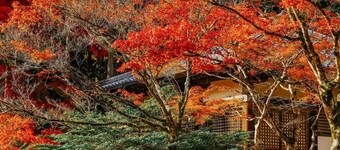 7mins by train from Kyoto Station, A Perfect Getaway for Families & Friends!