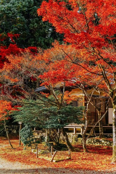 7mins by train from Kyoto Station, A Perfect Getaway for Families & Friends!