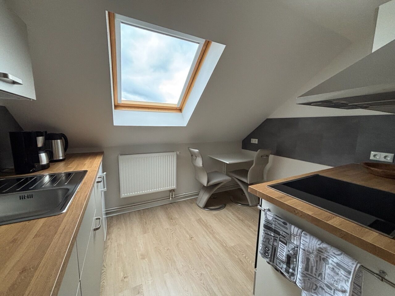 Kühlschrank, Ofen, Herdplatte, Geschirrspüler