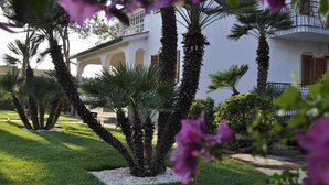 Un jardin bien entretenu, agrémenté de palmiers et d’un bâtiment blanc aux fenêtres en arc de cercle.