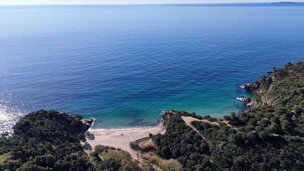 Eine Küstenlandschaft mit Strand, klarem blauen Meer und umgebender Vegetation.