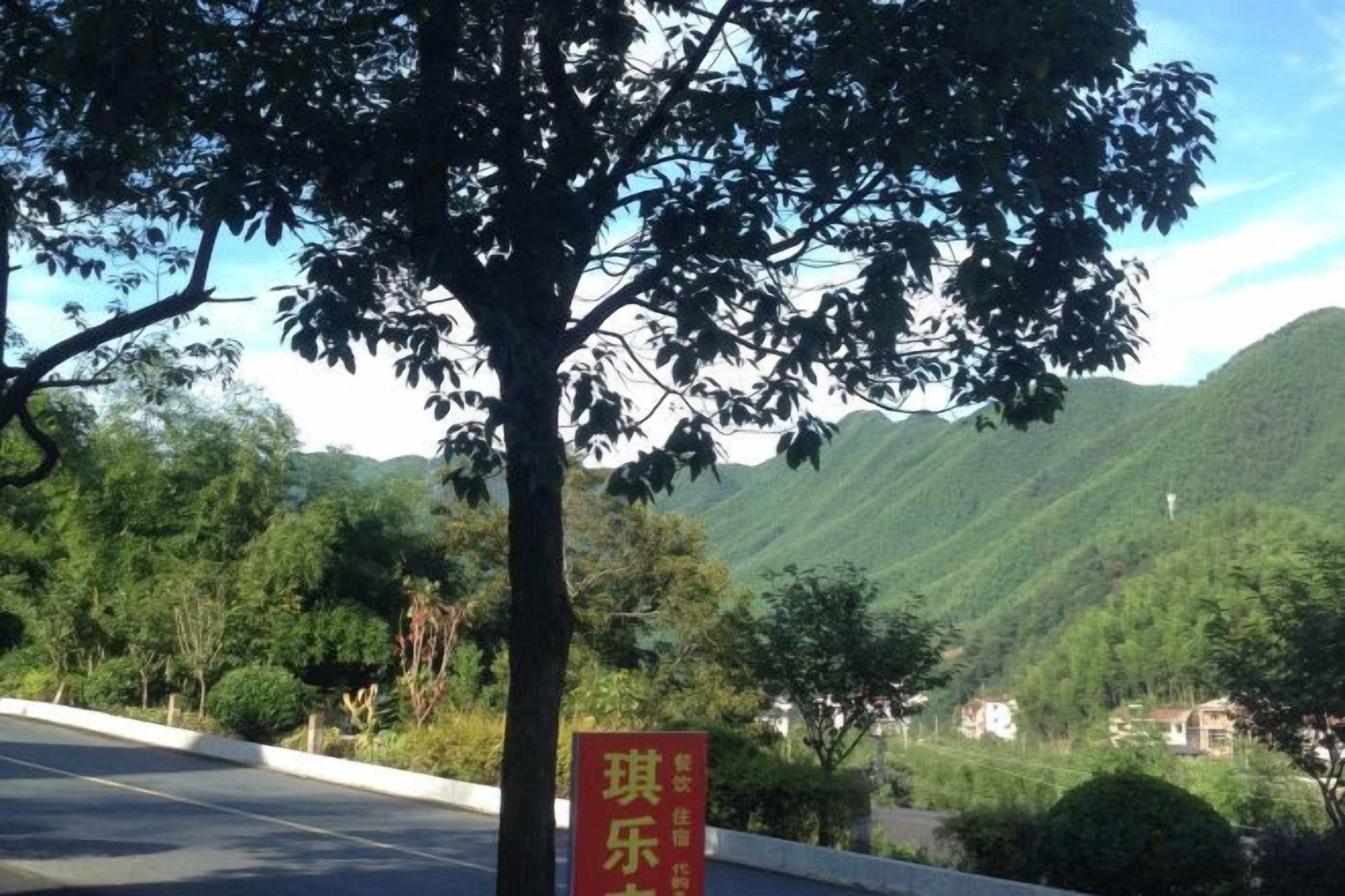 A road with a red sign, a tree, and a mountain in the background.