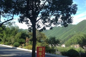 A road with a red sign, a tree, and a mountain in the background. - Anji Qile Farm (Anji)