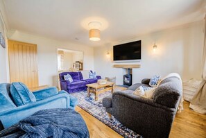 Televisión y chimenea 