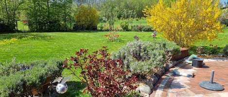 Ein Garten mit unterschiedlichen Pflanzen, einem gepflasterten Weg und einer Metallskulptur.