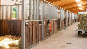 Ferienhaus | Unterkunftsgelände