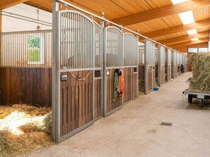 Ferienhaus | Unterkunftsgelände