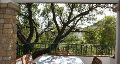 Villa Juniper, only 240mt from the sandy beach!