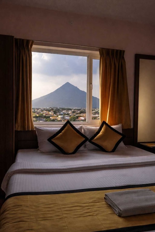 City view from property - UJ Pallazzio Business Class Luxury Hotel (Tiruvannamalai)