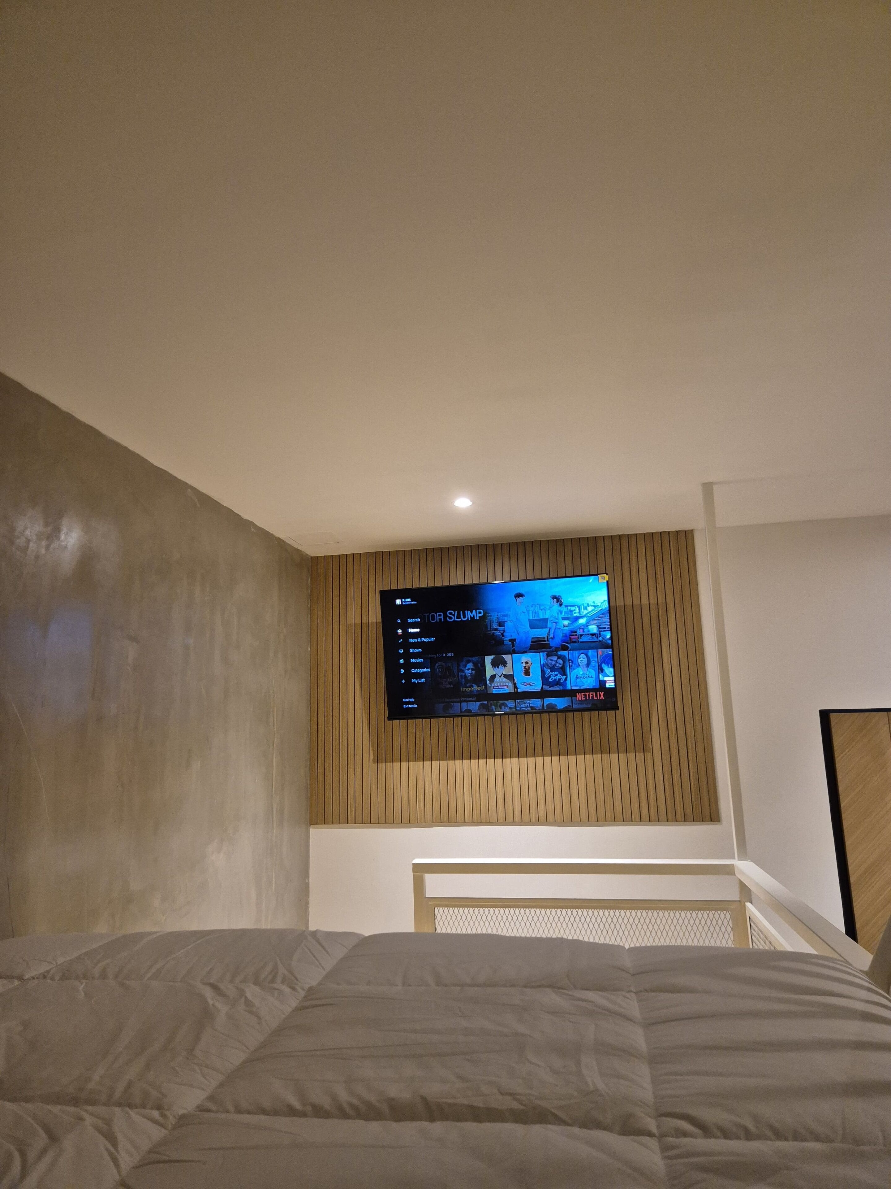 TV