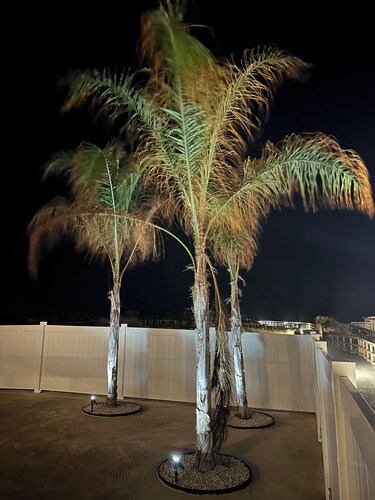 Luxury Oceanfront Oasis, Private Pool, Steps to Beach 