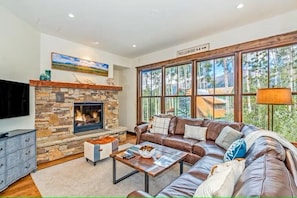 TV, fireplace