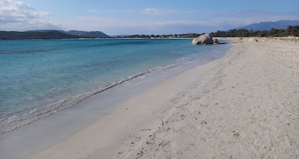 Mini villa in Lecci for couples 5 Km from the beach of St Cyprien and Cala Rossa