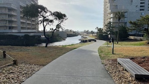 A concrete pathway leading to a body of water, flanked by grassy areas and trees.