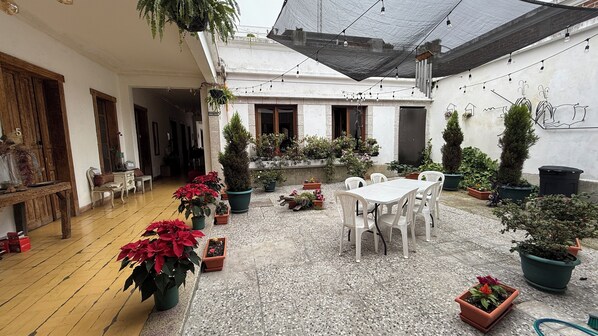 Living area - CASA DE LAS FLORES (Guatemala City)