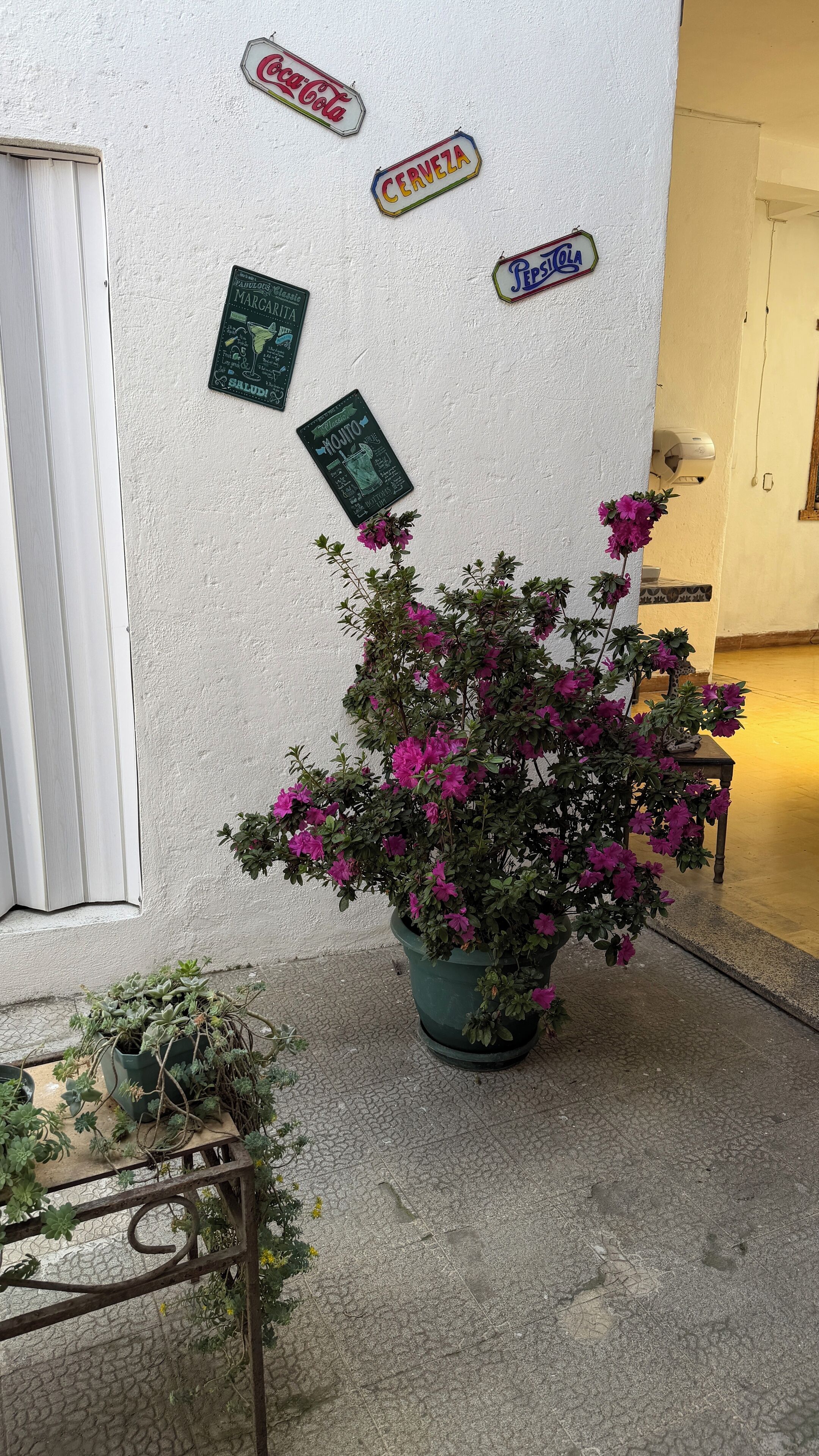 Foto - Casa De Las Flores