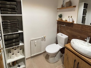 Bathroom - Apartment in Seefeld Near Ski Slopes (Seefeld in Tirol)