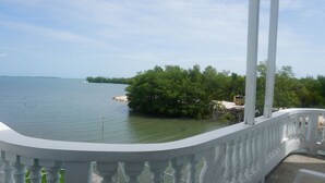 A view from a balcony overlooking calm water, a white railing, and dense green foliage.