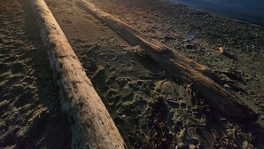 Une plage avec une barrière en bois et une eau calme qui reflète le soleil.
