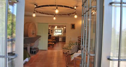 Il Frantoio - Tuscan Loft between Nature and Relaxation, Private Garden & BBQ