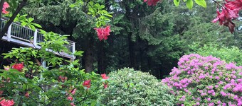 Mountain Perch with Ocean View Minutes From Beach!