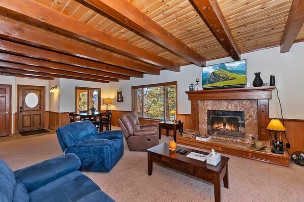 TV, fireplace, books