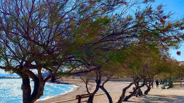 Playa