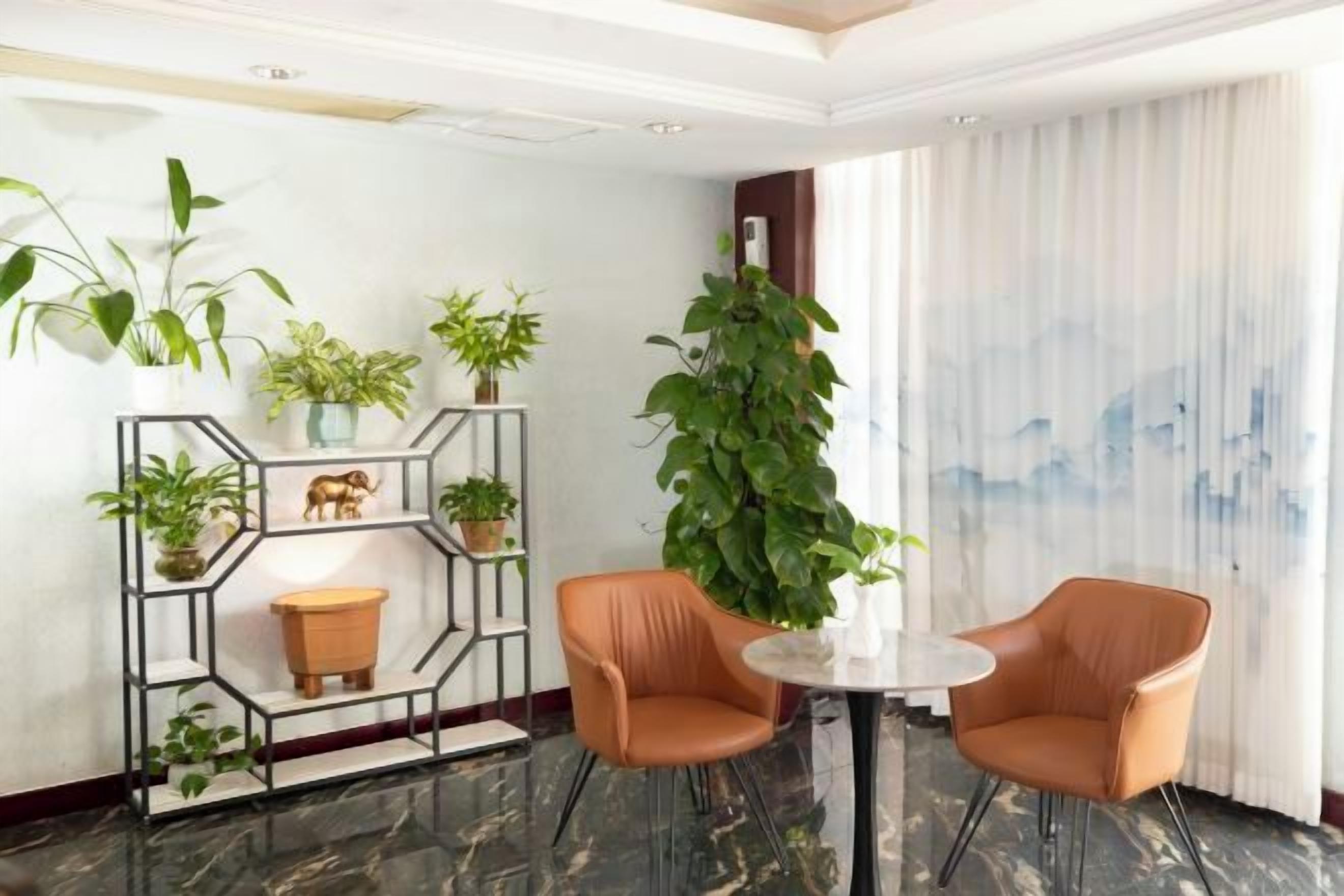 A room with a round table, two chairs, a plant shelf, and a large window with curtains.