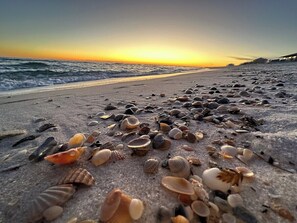 Uma praia com diversas conchas espalhadas pela areia, um pôr do sol ao fundo e um edifício à direita.