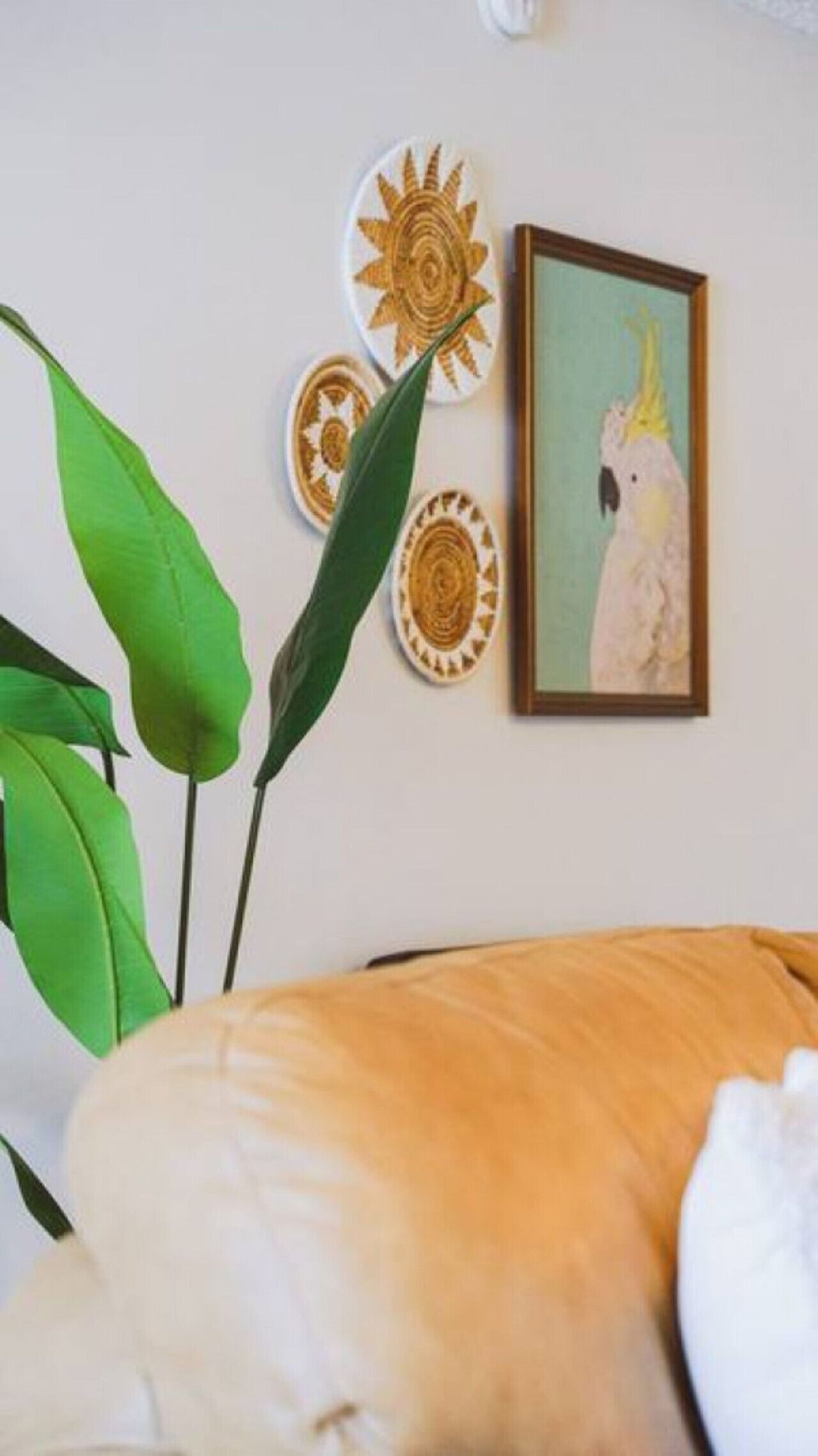 A room with a green plant, a framed picture of a bird, and decorative plates on the wall.