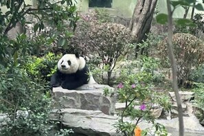 Property grounds - Home Inn (Shanghai Hongqiao International Airport Terminal 1 Branch) (Shanghai)