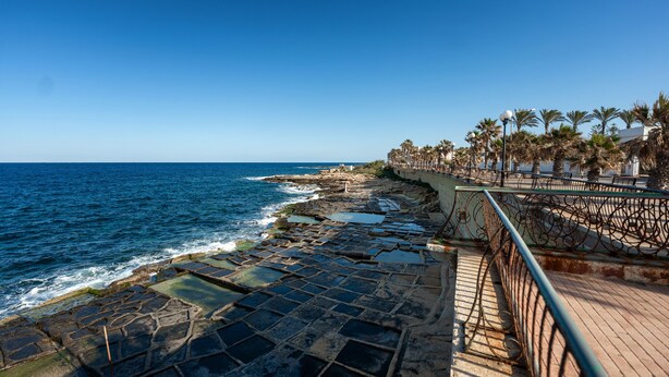 A coastal walkway with a stone-paved path, palm trees, and a view of the ocean. - Bellavista Bayview Penthouse Terrace (Marsaskala)
