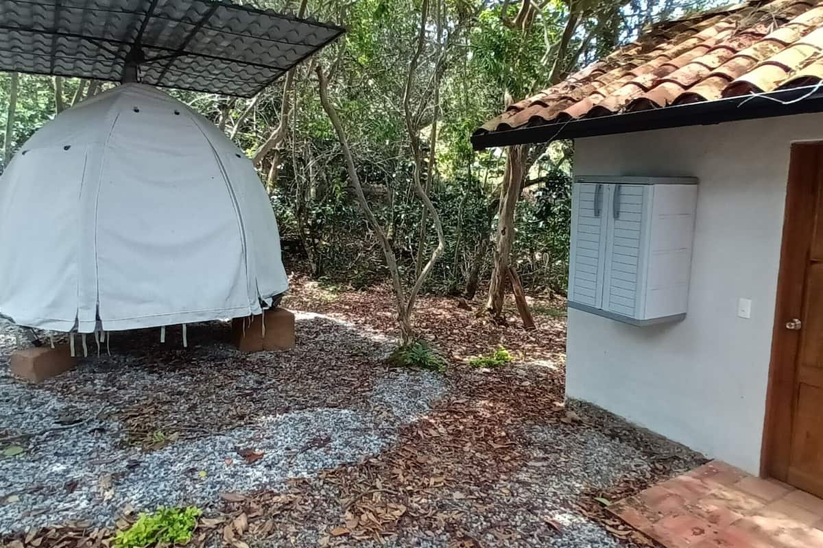 Design-Zimmer, Gartenblick | 1 Schlafzimmer, Bügeleisen/Bügelbrett, kostenloses WLAN, Bettwäsche